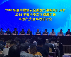 长清计算机应用公司在济南成功协办中国燃气协会安全工作会议